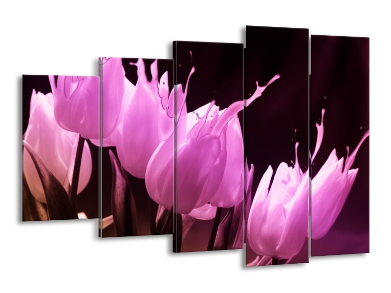 Canvas schilderij Tulp | Roze, Zwart | 150x100cm 5Luik