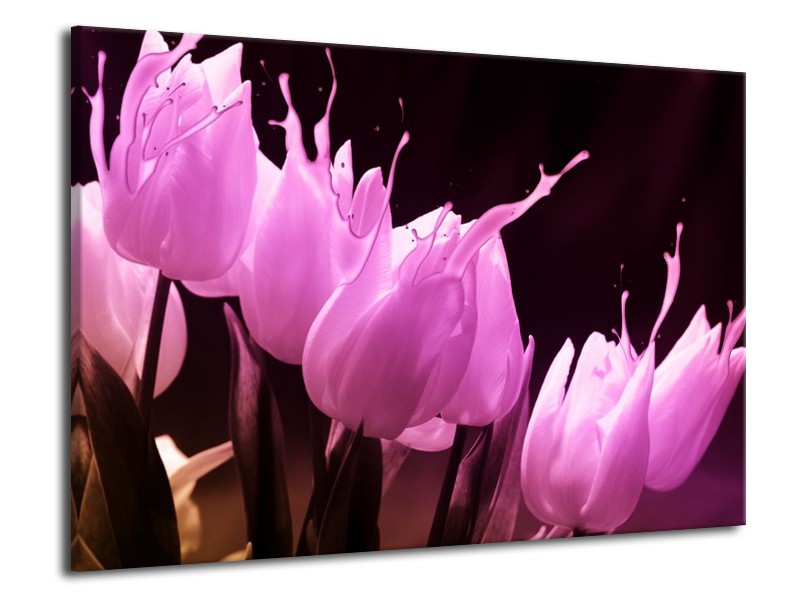 Canvas schilderij Tulp | Roze, Zwart | 70x50cm 1Luik