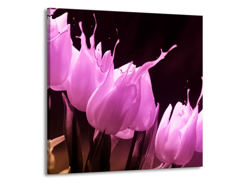 Canvas schilderij Tulp | Roze, Zwart | 70x70cm 1Luik