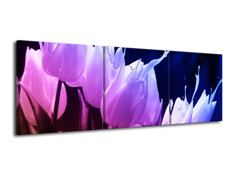 Canvas schilderij Tulp | Paars, Zwart | 120x40cm 3Luik