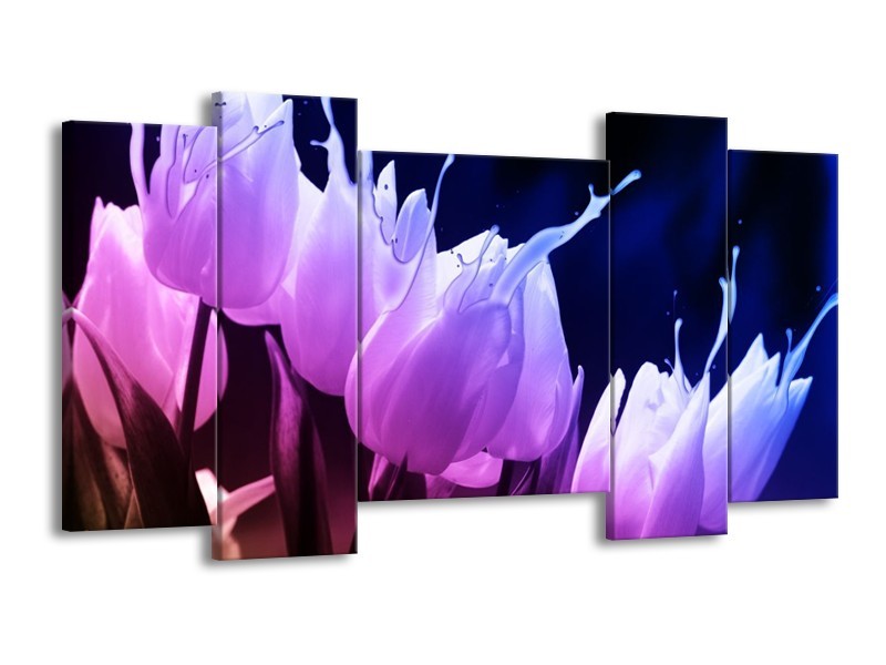Canvas schilderij Tulp | Paars, Zwart | 120x65 5Luik