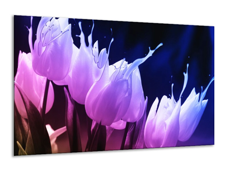 Canvas schilderij Tulp | Paars, Zwart | 120x70cm 1Luik