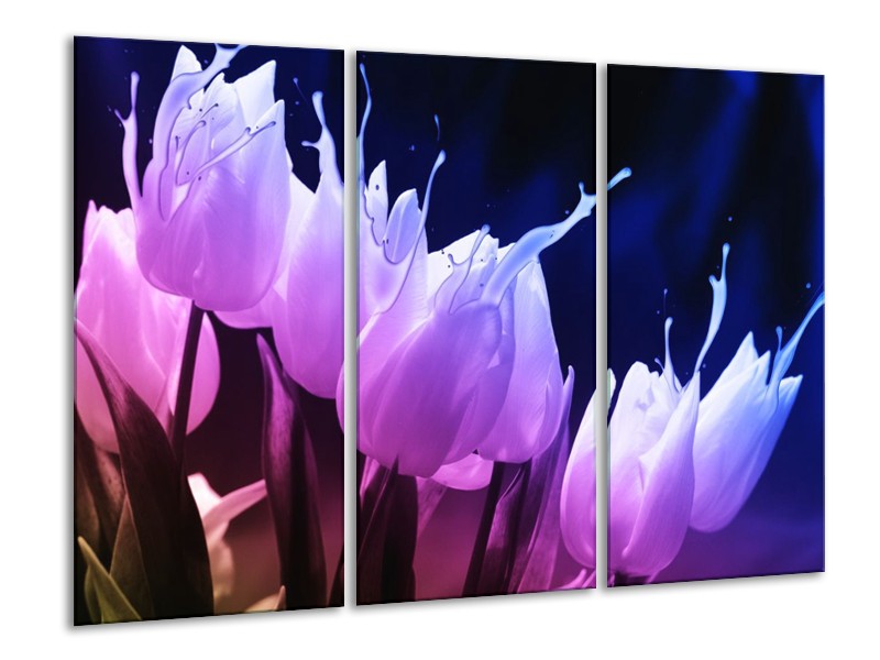 Canvas schilderij Tulp | Paars, Zwart | 120x80cm 3Luik