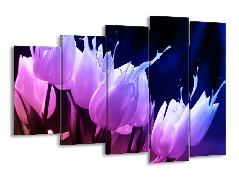 Canvas schilderij Tulp | Paars, Zwart | 150x100cm 5Luik
