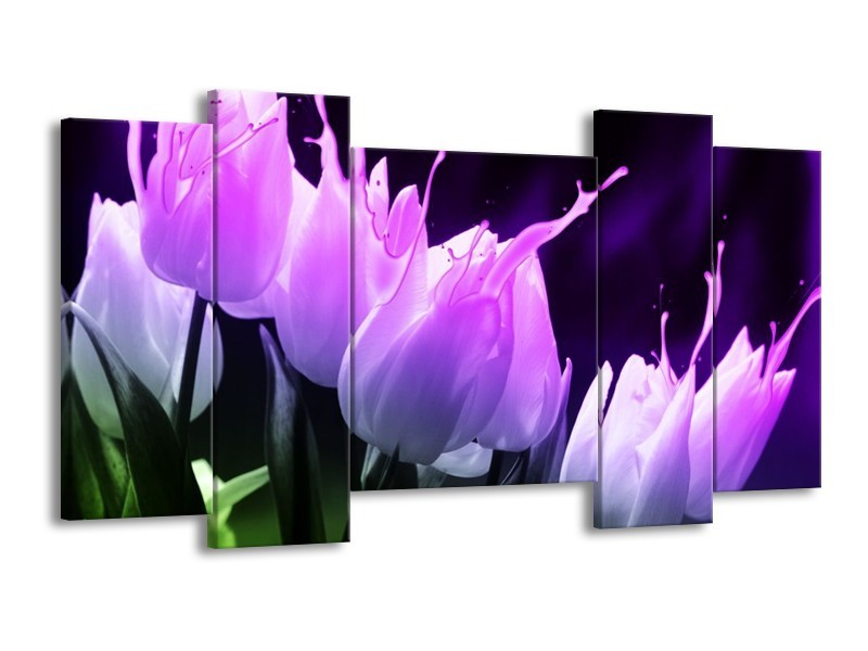 Canvas schilderij Tulp | Paars, Zwart, Roze | 120x65 5Luik
