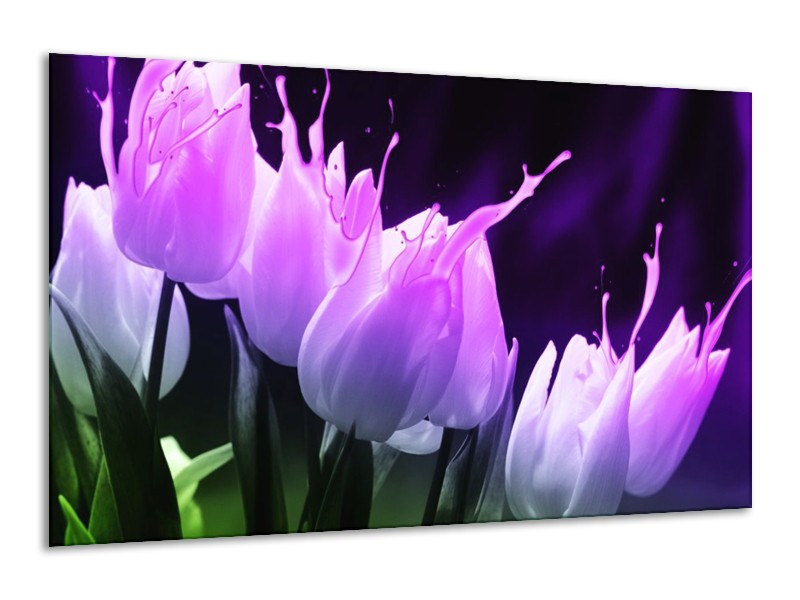 Canvas schilderij Tulp | Paars, Zwart, Roze | 120x70cm 1Luik
