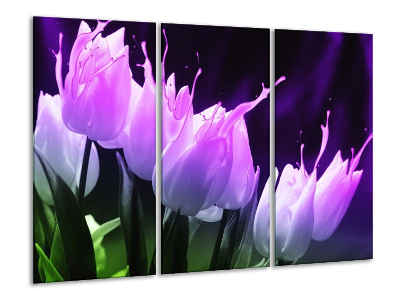 Canvas schilderij Tulp | Paars, Zwart, Roze | 120x80cm 3Luik