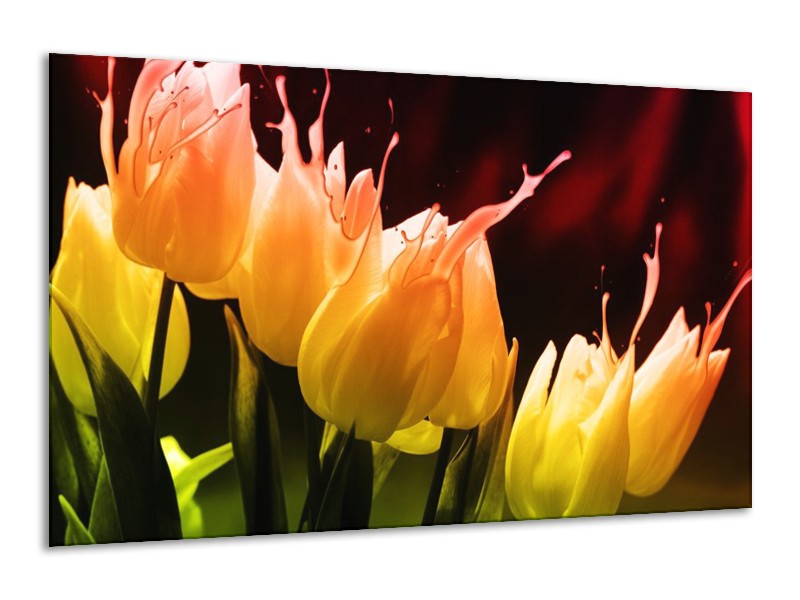 Canvas schilderij Tulp | Oranje, Geel, Zwart | 120x70cm 1Luik