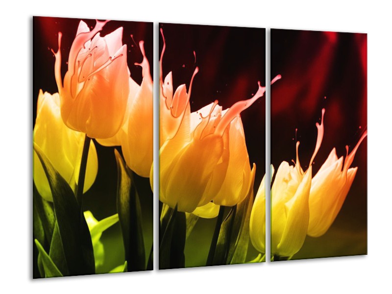 Canvas schilderij Tulp | Oranje, Geel, Zwart | 120x80cm 3Luik