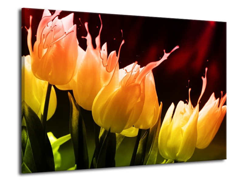 Canvas schilderij Tulp | Oranje, Geel, Zwart | 70x50cm 1Luik