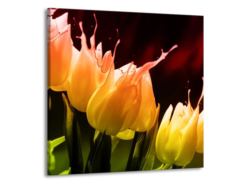 Canvas schilderij Tulp | Oranje, Geel, Zwart | 70x70cm 1Luik