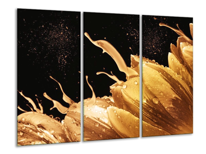 Canvas schilderij Tulp | Bruin, Zwart | 120x80cm 3Luik