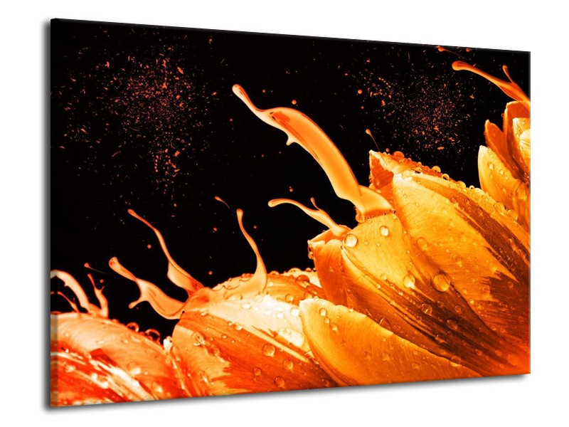 Canvas schilderij Tulp | Oranje, Zwart | 70x50cm 1Luik