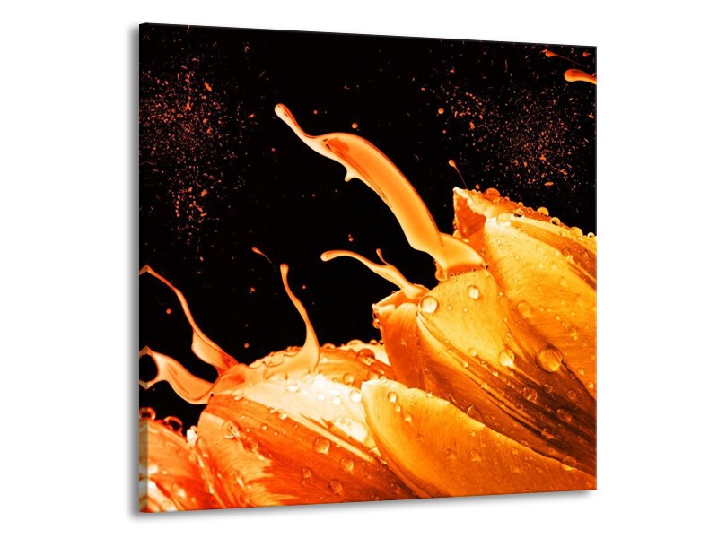 Canvas schilderij Tulp | Oranje, Zwart | 70x70cm 1Luik
