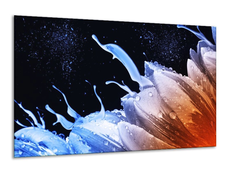 Canvas schilderij Tulp | Blauw, Bruin, Zwart | 120x70cm 1Luik