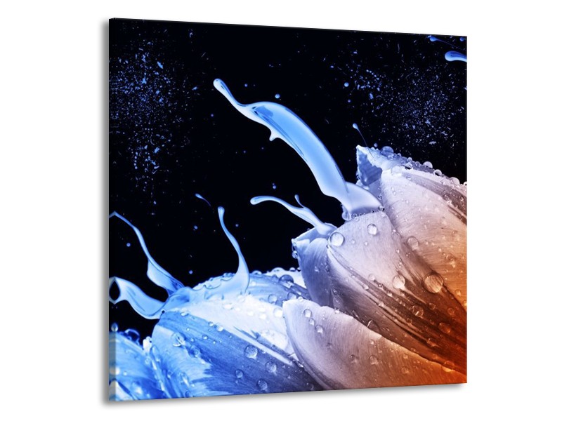 Glas schilderij Tulp | Blauw, Bruin, Zwart | 50x50cm 1Luik