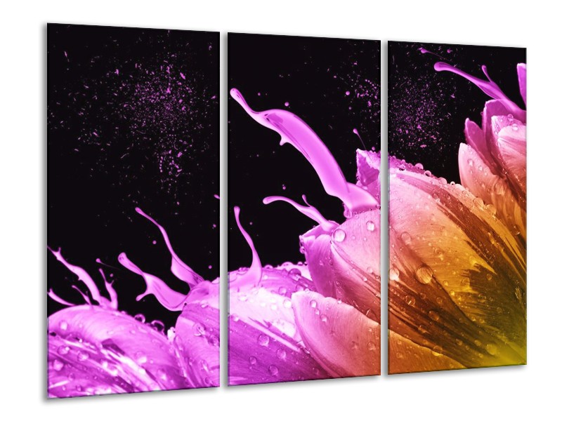 Canvas schilderij Tulp | Oranje, Zwart, Roze | 120x80cm 3Luik