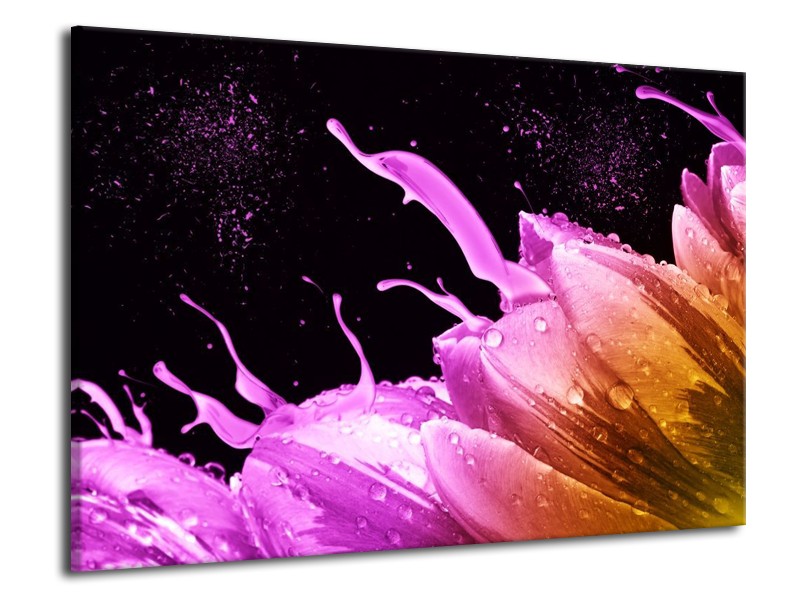 Canvas schilderij Tulp | Oranje, Zwart, Roze | 70x50cm 1Luik