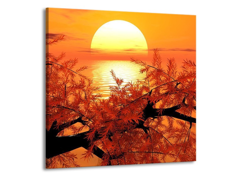 Glas schilderij Natuur | Oranje, Geel, Zwart | 50x50cm 1Luik