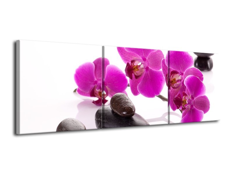 Canvas schilderij Orchidee | Paars, Wit, Zwart | 120x40cm 3Luik