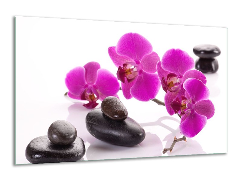 Canvas schilderij Orchidee | Paars, Wit, Zwart | 120x70cm 1Luik
