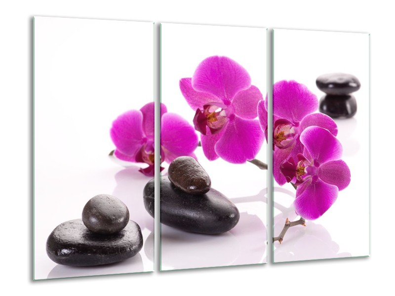Canvas schilderij Orchidee | Paars, Wit, Zwart | 120x80cm 3Luik
