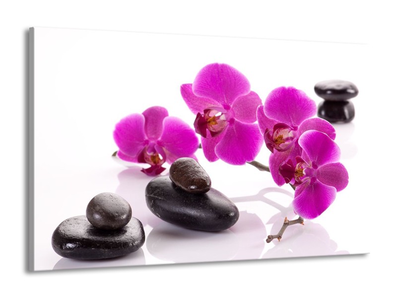 Canvas schilderij Orchidee | Paars, Wit, Zwart | 140x90cm 1Luik