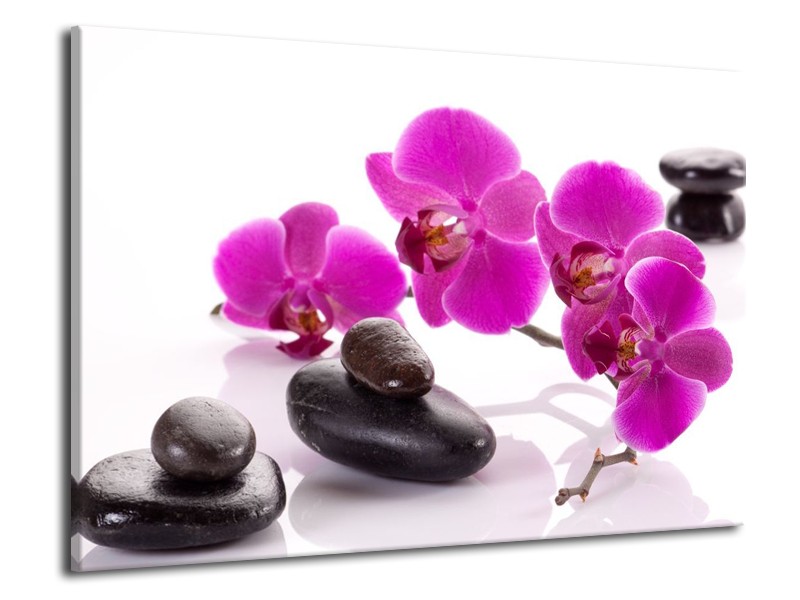 Canvas schilderij Orchidee | Paars, Wit, Zwart | 70x50cm 1Luik