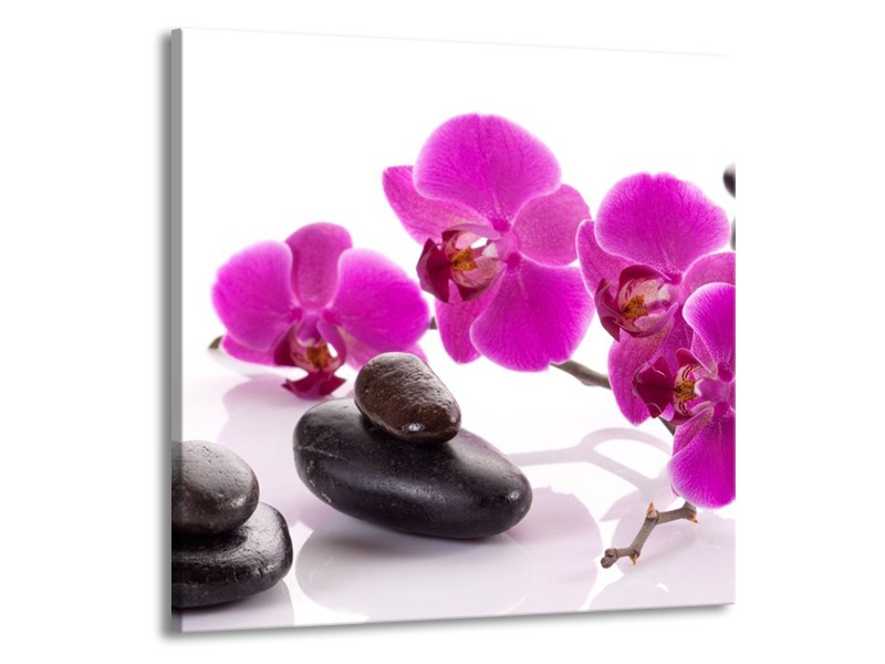 Canvas schilderij Orchidee | Paars, Wit, Zwart | 70x70cm 1Luik