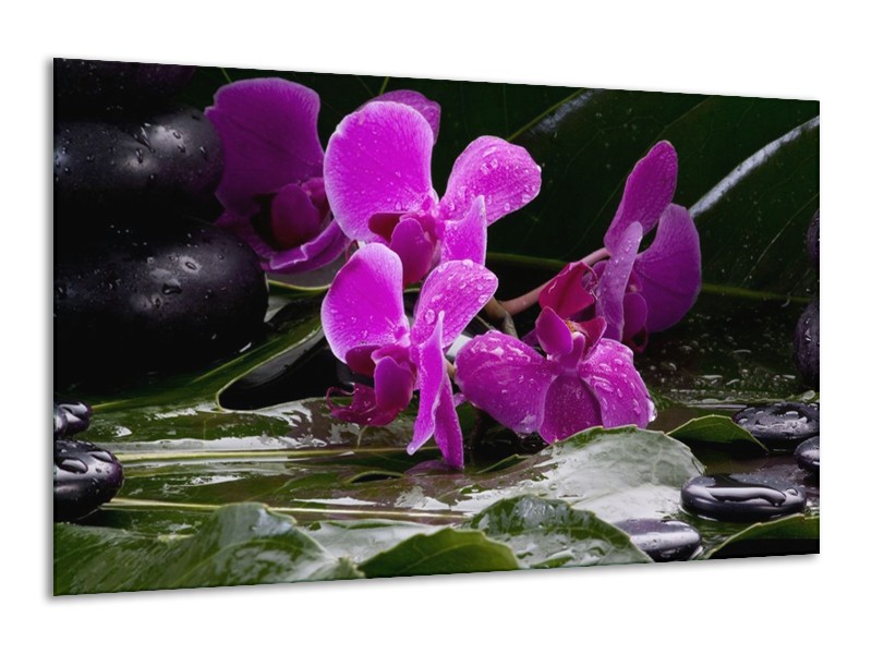 Canvas schilderij Orchidee | Zwart, Roze, Grijs | 120x70cm 1Luik