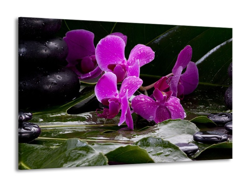 Canvas schilderij Orchidee | Zwart, Roze, Grijs | 140x90cm 1Luik