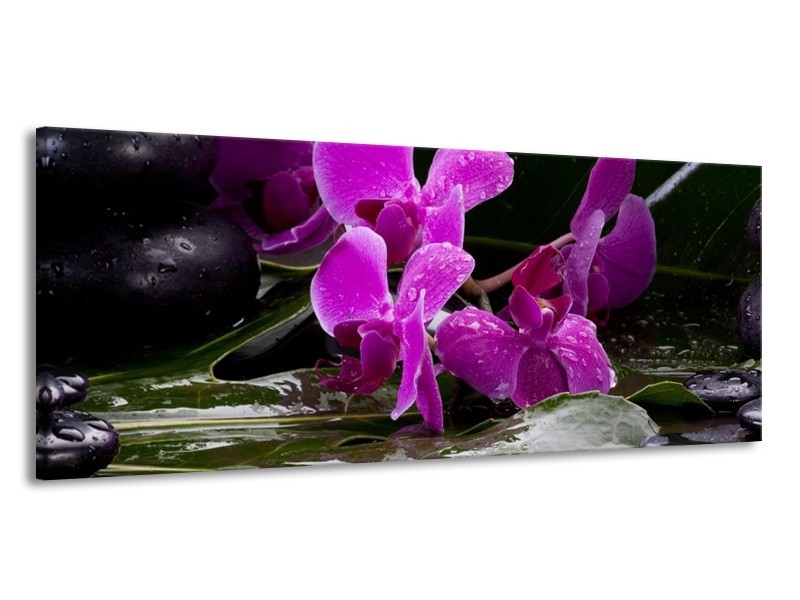 Canvas schilderij Orchidee | Zwart, Roze, Grijs | 145x58cm 1Luik