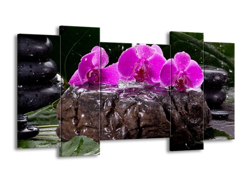 Canvas schilderij Orchidee | Zwart, Roze, Grijs | 120x65 5Luik