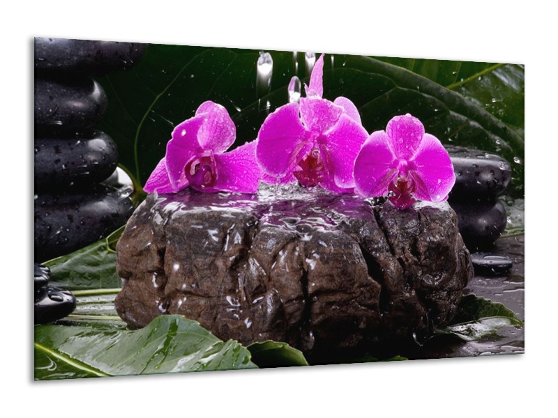 Canvas schilderij Orchidee | Zwart, Roze, Grijs | 120x70cm 1Luik
