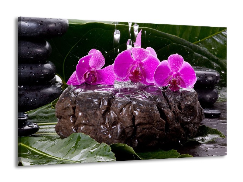 Canvas schilderij Orchidee | Zwart, Roze, Grijs | 140x90cm 1Luik