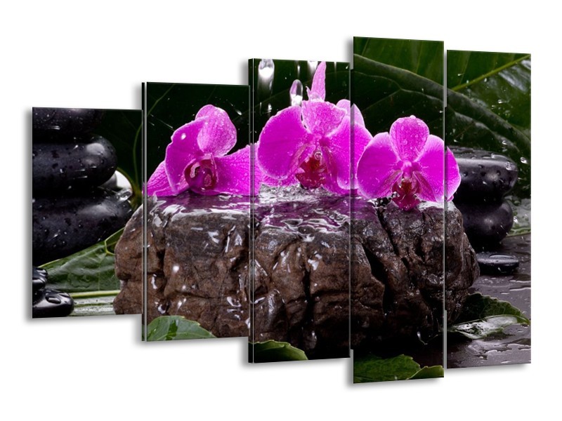 Canvas schilderij Orchidee | Zwart, Roze, Grijs | 150x100cm 5Luik