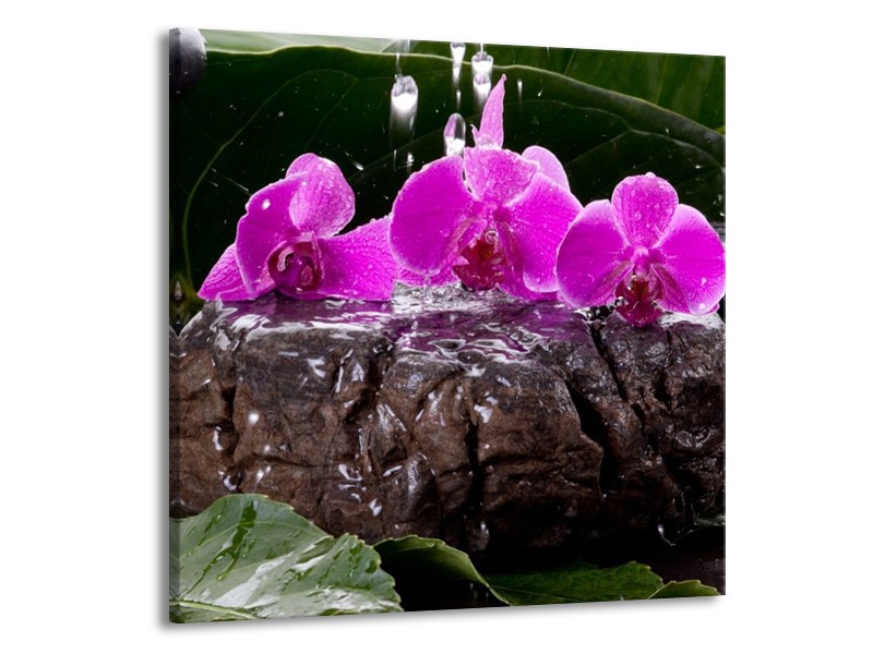 Canvas schilderij Orchidee | Zwart, Roze, Grijs | 70x70cm 1Luik