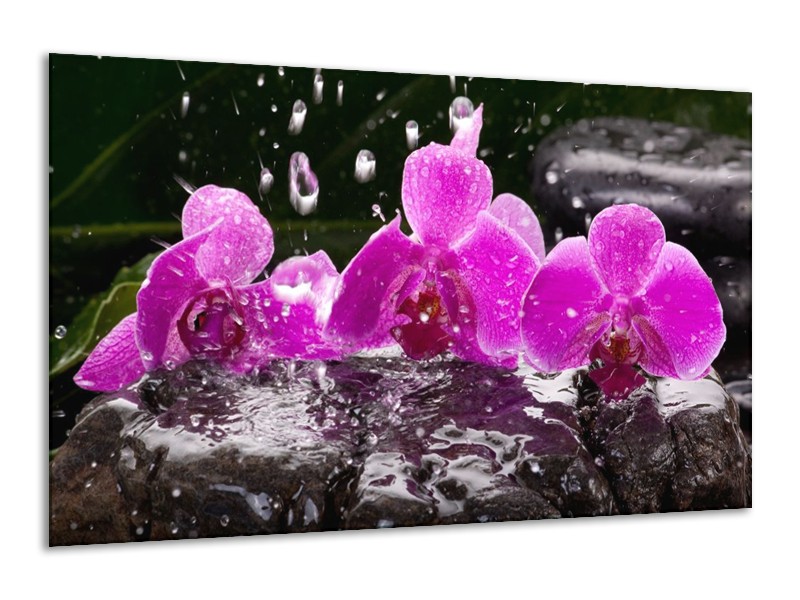 Canvas schilderij Orchidee | Zwart, Roze, Grijs | 120x70cm 1Luik