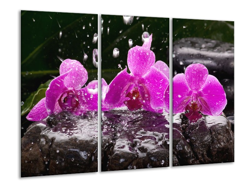Canvas schilderij Orchidee | Zwart, Roze, Grijs | 120x80cm 3Luik