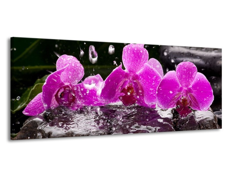 Canvas schilderij Orchidee | Zwart, Roze, Grijs | 145x58cm 1Luik