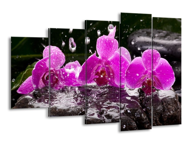 Canvas schilderij Orchidee | Zwart, Roze, Grijs | 150x100cm 5Luik