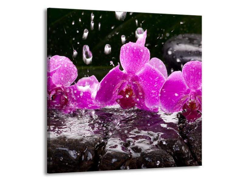 Canvas schilderij Orchidee | Zwart, Roze, Grijs | 70x70cm 1Luik