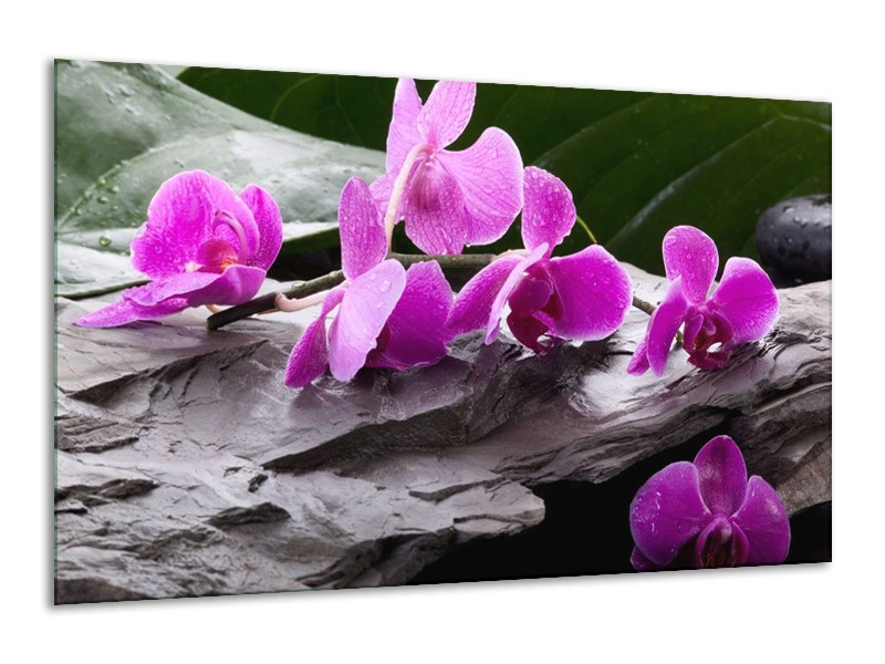 Canvas schilderij Orchidee | Zwart, Roze, Grijs | 120x70cm 1Luik