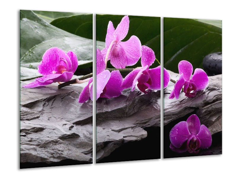 Canvas schilderij Orchidee | Zwart, Roze, Grijs | 120x80cm 3Luik