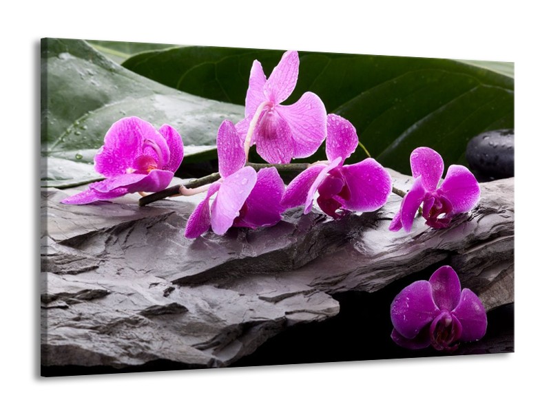 Canvas schilderij Orchidee | Zwart, Roze, Grijs | 140x90cm 1Luik
