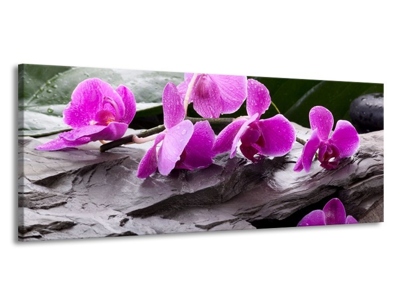 Canvas schilderij Orchidee | Zwart, Roze, Grijs | 145x58cm 1Luik