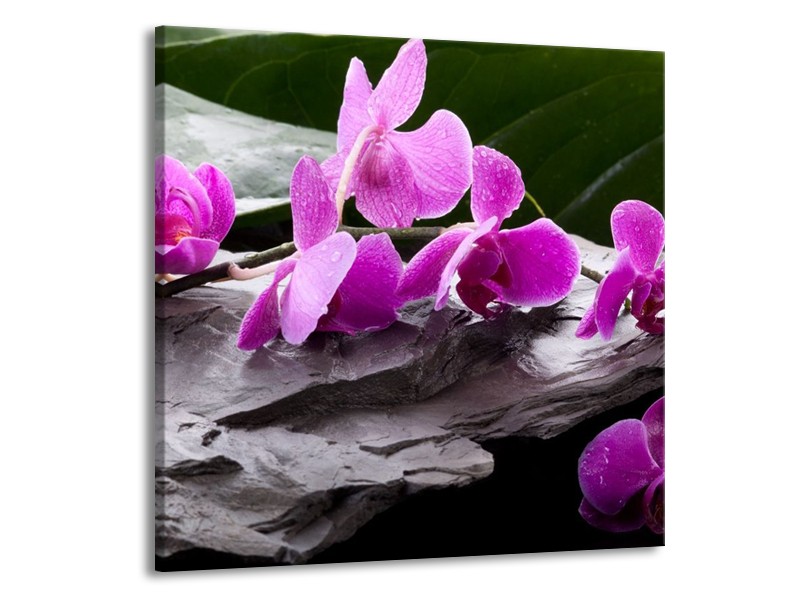 Canvas schilderij Orchidee | Zwart, Roze, Grijs | 70x70cm 1Luik
