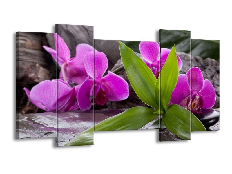 Canvas schilderij Orchidee | Zwart, Roze, Grijs | 120x65 5Luik