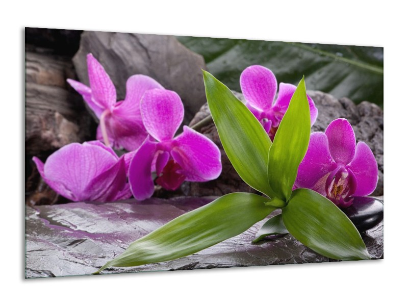 Canvas schilderij Orchidee | Zwart, Roze, Grijs | 120x70cm 1Luik