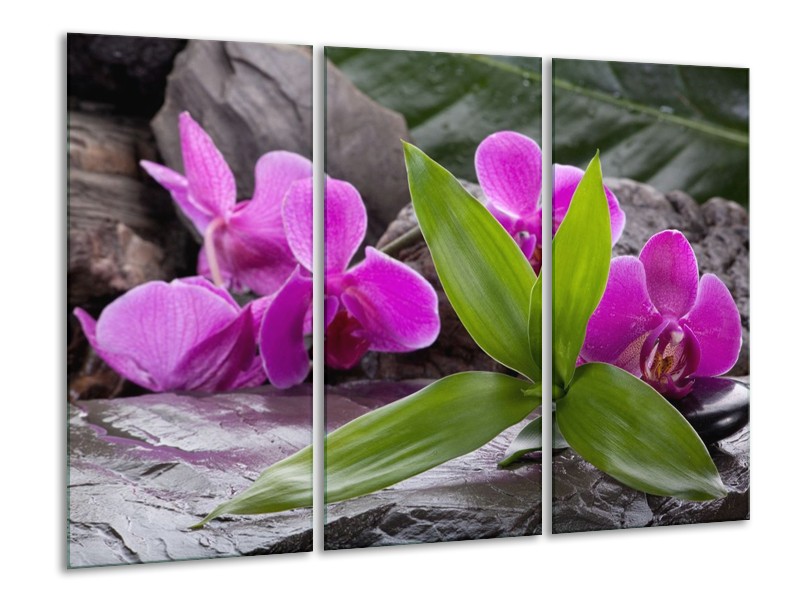 Canvas schilderij Orchidee | Zwart, Roze, Grijs | 120x80cm 3Luik